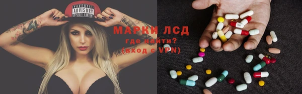 ГАЛЛЮЦИНОГЕННЫЕ ГРИБЫ Аркадак