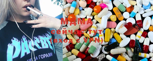 ГАЛЛЮЦИНОГЕННЫЕ ГРИБЫ Аркадак