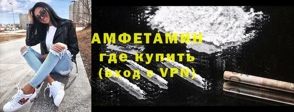 ГАЛЛЮЦИНОГЕННЫЕ ГРИБЫ Аркадак