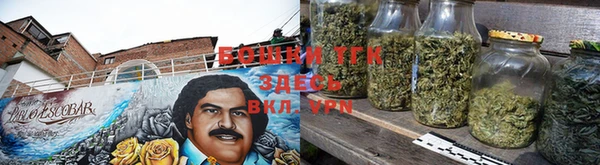 ГАЛЛЮЦИНОГЕННЫЕ ГРИБЫ Аркадак