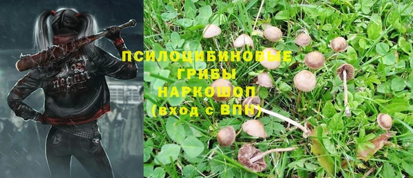 винт Армянск